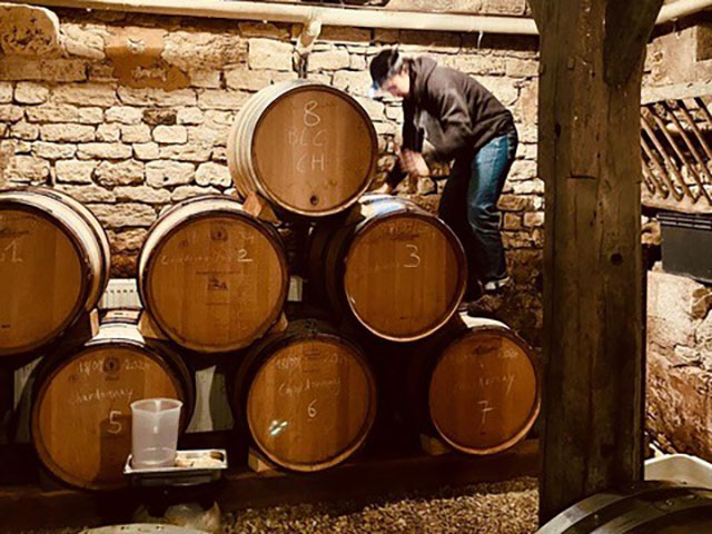 Copyright Maison Paillot